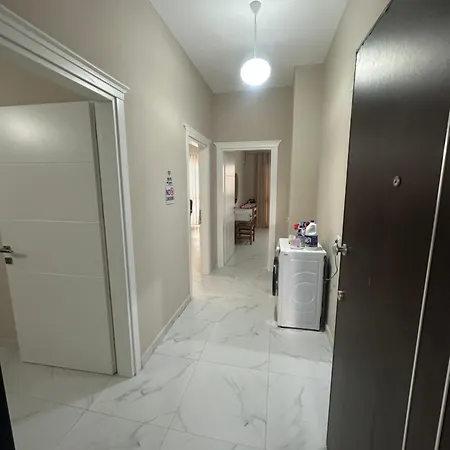 Roy Iii ,new Location Apartment